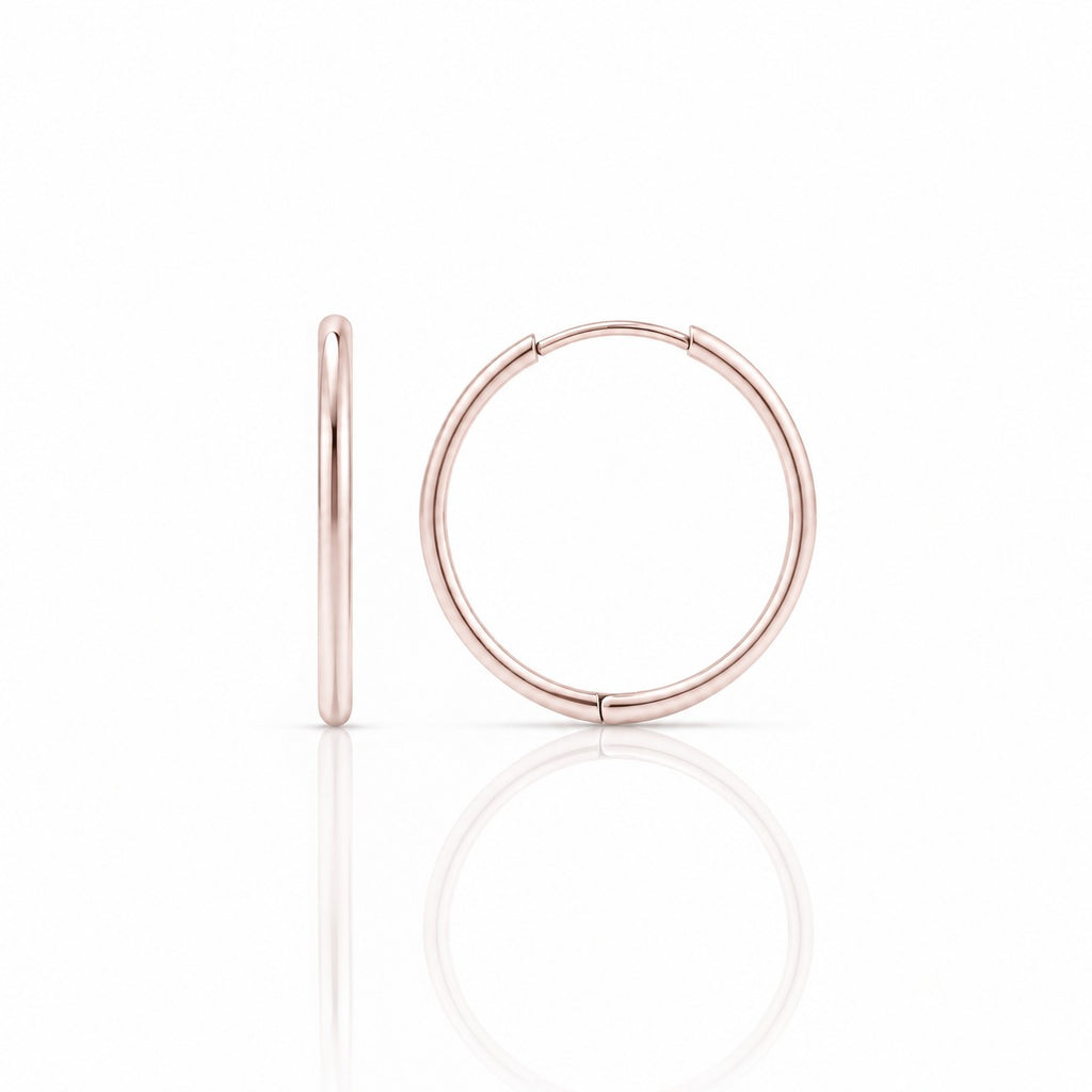 Stainless Steel Hoop (Single Piece)